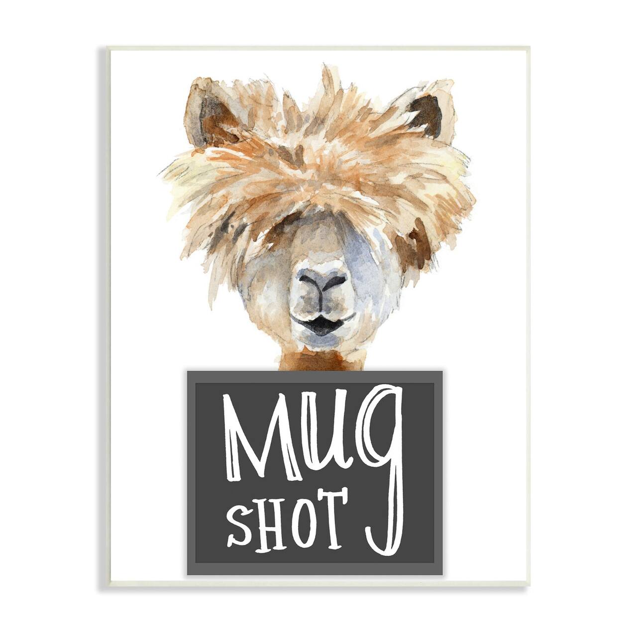 Stupell Industries Fluffy Hair Alpaca Animal Mugshot Funny Portrait Wall Plaque